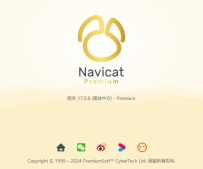 Navicat Premium 17.0.8 简体中文版破解版