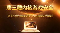 唐三藏内核游戏安全[中文讲解]